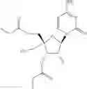 Fig. 1676 - COMBINATION THERAPY FOR TREATING A PARAMYXOVIRUS