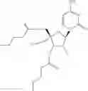 Fig. 1677 - COMBINATION THERAPY FOR TREATING A PARAMYXOVIRUS