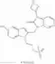 Fig. 46 - COMBINATION THERAPY FOR TREATING A PARAMYXOVIRUS