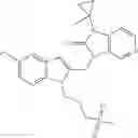 Fig. 49 - COMBINATION THERAPY FOR TREATING A PARAMYXOVIRUS
