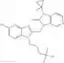 Fig. 51 - COMBINATION THERAPY FOR TREATING A PARAMYXOVIRUS