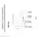 Fig. 09 - COMBINATION THERAPY FOR TREATING CANCER