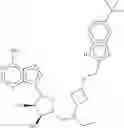 Fig. 112 - COMBINATION THERAPY FOR TREATING CANCER