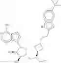 Fig. 113 - COMBINATION THERAPY FOR TREATING CANCER