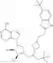 Fig. 121 - COMBINATION THERAPY FOR TREATING CANCER