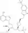 Fig. 141 - COMBINATION THERAPY FOR TREATING CANCER