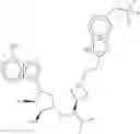 Fig. 162 - COMBINATION THERAPY FOR TREATING CANCER