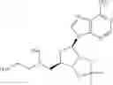 Fig. 205 - COMBINATION THERAPY FOR TREATING CANCER