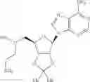 Fig. 209 - COMBINATION THERAPY FOR TREATING CANCER