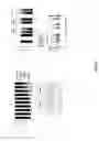Fig. 24 - COMBINATION THERAPY FOR TREATING CANCER