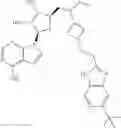 Fig. 77 - COMBINATION THERAPY FOR TREATING CANCER