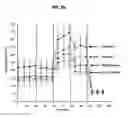 Fig. 04 - Methods for modulating chemotherapeutic cytotoxicity