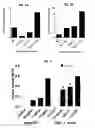 Fig. 08 - Methods for modulating chemotherapeutic cytotoxicity