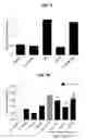 Fig. 10 - Methods for modulating chemotherapeutic cytotoxicity