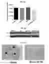 Fig. 13 - Methods for modulating chemotherapeutic cytotoxicity