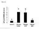 Fig. 12 - Compositions of selenoorganic compounds and methods of use thereof