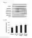 Fig. 20 - Compositions of selenoorganic compounds and methods of use thereof
