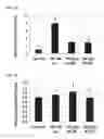 Fig. 22 - Compositions of selenoorganic compounds and methods of use thereof