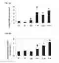 Fig. 24 - Compositions of selenoorganic compounds and methods of use thereof