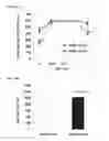 Fig. 26 - Compositions of selenoorganic compounds and methods of use thereof
