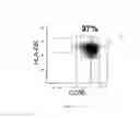 Fig. 04 - Method for treating cancers with dendritic killer cells and pharmaceutical composition comprising the same