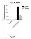 Fig. 10 - Inhibition of choroidal neovascularization