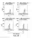 Fig. 09 - Compositions and methods for immunotherapy