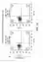 Fig. 19 - Compositions and methods for immunotherapy