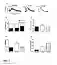 Fig. 03 - Compositions and Methods for Improving the Functional Efficacy of Stem Cell-Derived Cardiomyocytes