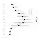 Fig. 13 - Compositions and Methods for Improving the Functional Efficacy of Stem Cell-Derived Cardiomyocytes