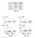 Fig. 08 - BIOMARKERS PREDICTIVE OF THERAPEUTIC RESPONSIVENESS TO IFNB AND USES THEREOF