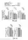Fig. 22 - Osteocalcin as a treatment for cognitive disorders