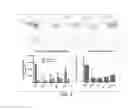 Fig. 06 - Peptides comprising non-natural amino acids and methods of making and using the same