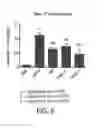 Fig. 07 - Peptides comprising non-natural amino acids and methods of making and using the same