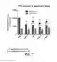 Fig. 08 - Peptides comprising non-natural amino acids and methods of making and using the same