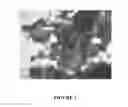 Fig. 02 - Enzyme delivery systems and methods of preparation and use