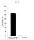 Fig. 10 - Conjugate vaccine using trimming function of ERAP1