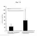 Fig. 14 - Conjugate vaccine using trimming function of ERAP1
