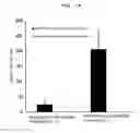 Fig. 15 - Conjugate vaccine using trimming function of ERAP1