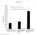 Fig. 22 - Conjugate vaccine using trimming function of ERAP1