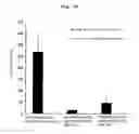 Fig. 23 - Conjugate vaccine using trimming function of ERAP1