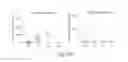 Fig. 07 - Tumor vaccine