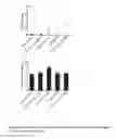 Fig. 05 - Formulations