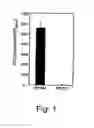 Fig. 02 - Attenuated strains