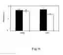 Fig. 07 - Attenuated strains