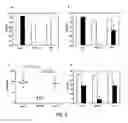 Fig. 10 - Attenuated strains