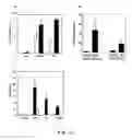 Fig. 11 - Attenuated strains