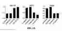 Fig. 05 - DIRECTED IMMUNE STIMULATION