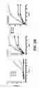 Fig. 06 - DIRECTED IMMUNE STIMULATION