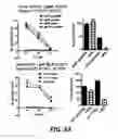 Fig. 08 - DIRECTED IMMUNE STIMULATION